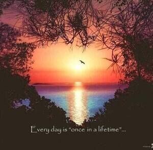 Meet your Posher, Lynn